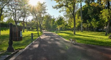 Manisa’daki Parklarda Zemin Yenileme Çalışmaları Sürüyor