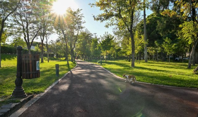 Manisa’daki Parklarda Zemin Yenileme Çalışmaları Sürüyor