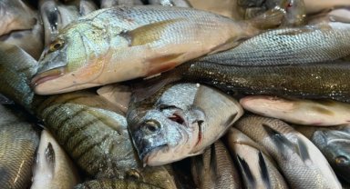Buca Balık Hali’nde Kaçak Av Denetimi: 45 Kilo Su Ürününe El Konuldu