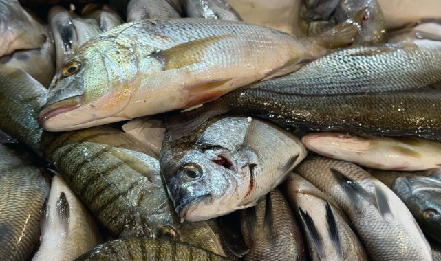 Buca Balık Hali’nde Kaçak Av Denetimi: 45 Kilo Su Ürününe El Konuldu