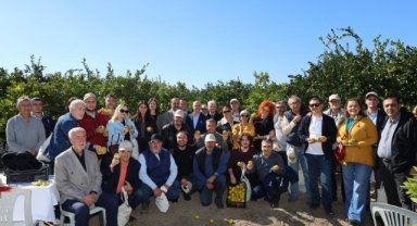 Satsuma Mandalinada İhracat Sezonu Başladı