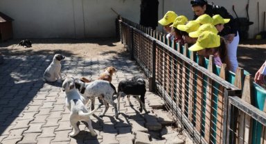 Şehzadelerli 70 Minik, Hayvanları Koruma Günü’nde Can Dostlarla Buluştu