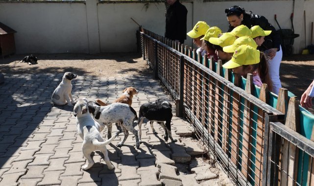 Şehzadelerli 70 Minik, Hayvanları Koruma Günü’nde Can Dostlarla Buluştu