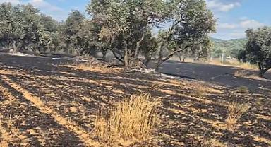 Turgutlu'da tarım arazisinde çıkan yangın söndürüldü