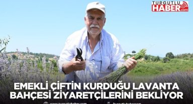 Turgutlu Samancı Lavanta Bahçesi