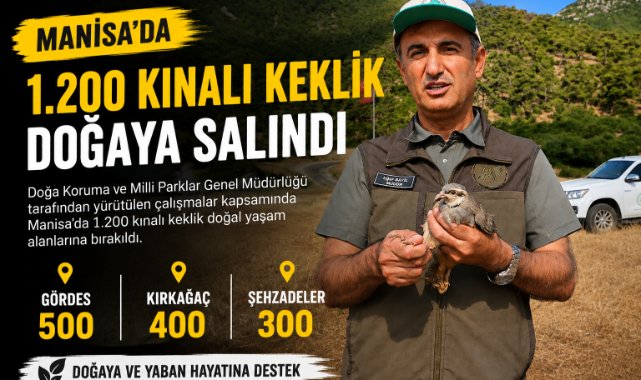 Manisa'da 1.200 Kınalı Keklik Doğaya Salındı